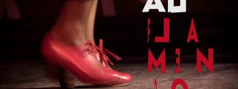 [ID: 4r9xo99FrGA] Youtube Automatic