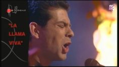 [ID: 4tUN6wq5N6I] Youtube Automatic