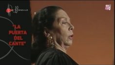 [ID: 5-YS3eFjh-w] Youtube Automatic