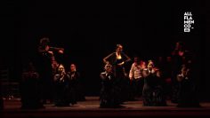 [ID: 50dnv9Gqlis] Youtube Automatic