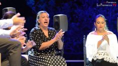 [ID: 55tMa-brgTY] Youtube Automatic