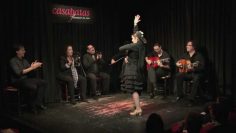 [ID: 59ILcs7HfWI] Youtube Automatic