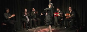 [ID: 59ILcs7HfWI] Youtube Automatic