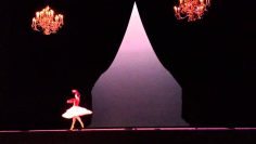 [ID: 5A_bkIX8Hzo] Youtube Automatic