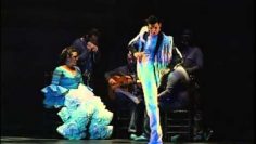 [ID: 5DCUyzwwQvQ] Youtube Automatic