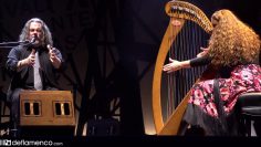 [ID: 5L-kfiKUJZY] Youtube Automatic