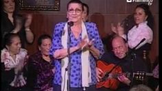 [ID: 5LOhAO8Pax0] Youtube Automatic