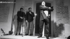 [ID: 5vv3e2hu1qA] Youtube Automatic