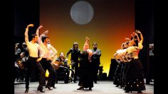 [ID: 5zXW4ZGBBGE] Youtube Automatic