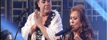 [ID: 619TYd4_93A] Youtube Automatic