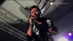 [ID: 626p9BPM880] Youtube Automatic