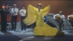 [ID: 6jIqYeiWcL4] Youtube Automatic