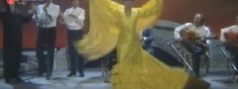 [ID: 6jIqYeiWcL4] Youtube Automatic