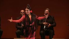 [ID: 6ORk2IGB5eQ] Youtube Automatic