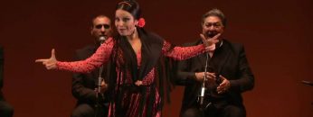 [ID: 6ORk2IGB5eQ] Youtube Automatic