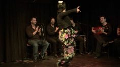 [ID: 6VdXTfWACNM] Youtube Automatic