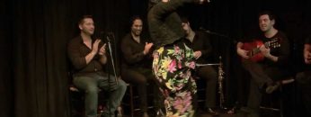 [ID: 6VdXTfWACNM] Youtube Automatic