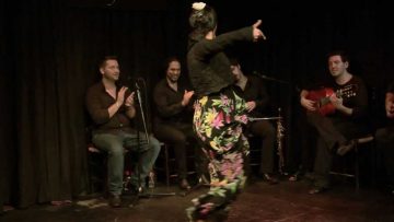 [ID: 6VdXTfWACNM] Youtube Automatic