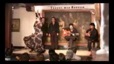 [ID: 6VSe-rTmvfM] Youtube Automatic