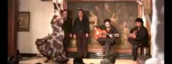 [ID: 6VSe-rTmvfM] Youtube Automatic