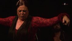 [ID: 6X5AHTaVeVg] Youtube Automatic