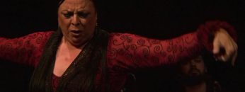 [ID: 6X5AHTaVeVg] Youtube Automatic