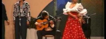 [ID: 6XTMaMKVZVs] Youtube Automatic