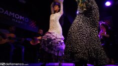 [ID: 6Y0St6FYmb0] Youtube Automatic