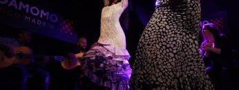 [ID: 6Y0St6FYmb0] Youtube Automatic