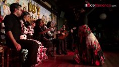 [ID: 71YpzuKM_rE] Youtube Automatic