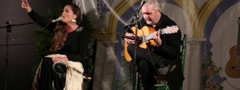 [ID: 72q6E88SZc0] Youtube Automatic