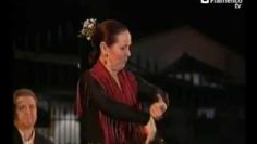 [ID: 7AzBnZ5RYMY] Youtube Automatic