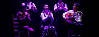 [ID: 7cEAuDvU3WE] Youtube Automatic