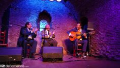 [ID: 7eTOS89r5-M] Youtube Automatic