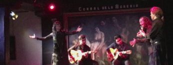 [ID: 7f5dsphVTKA] Youtube Automatic