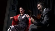 [ID: 7Ff2XTiuQ7Q] Youtube Automatic