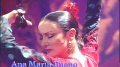 [ID: 7G9t90d5LS8] Youtube Automatic