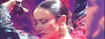 [ID: 7G9t90d5LS8] Youtube Automatic