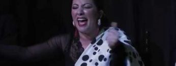 [ID: 7i1JGYyL2js] Youtube Automatic