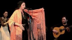 [ID: 7J6UChTKtD8] Youtube Automatic