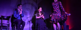 [ID: 7K0tSgoD51E] Youtube Automatic