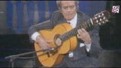 [ID: 7NWf9hAN1AU] Youtube Automatic