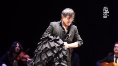 [ID: 7_pr7a5dbfo] Youtube Automatic