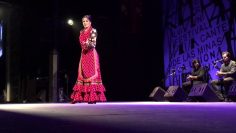 [ID: 7UZnmsU_nKw] Youtube Automatic