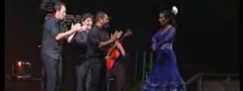 [ID: 7w0hmpUVebU] Youtube Automatic