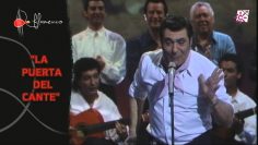 [ID: 7YlfStv3hhw] Youtube Automatic