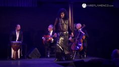 [ID: 89tXuDsdUxI] Youtube Automatic