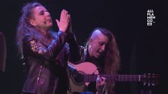 [ID: 8a7cOErwC5A] Youtube Automatic