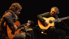 [ID: 8epaadapCDM] Youtube Automatic