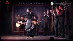 [ID: 8fm1Lz7vcsw] Youtube Automatic